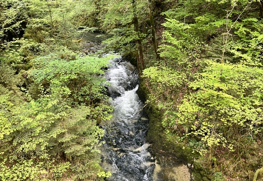 23-05-19 15-54-49 5468